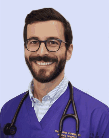 Jose Novo Matos
